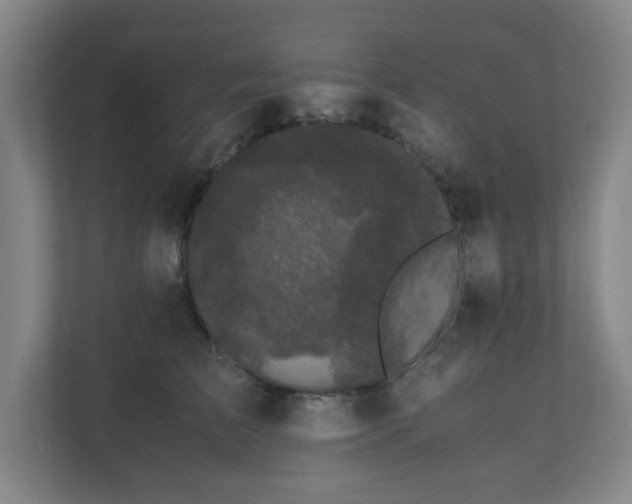 X0000110770709200906151326