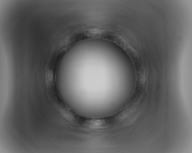 X0000110770711200906151326