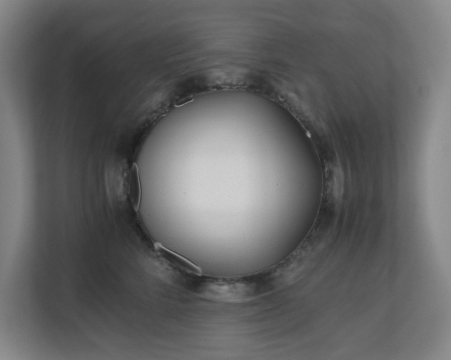 X0000110770712200906151326