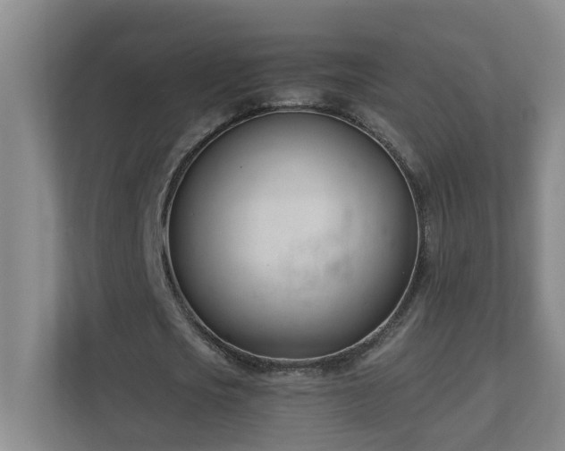 X0000110770721200906151325