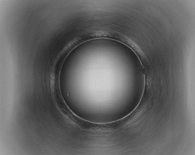 X0000110770722200906151325