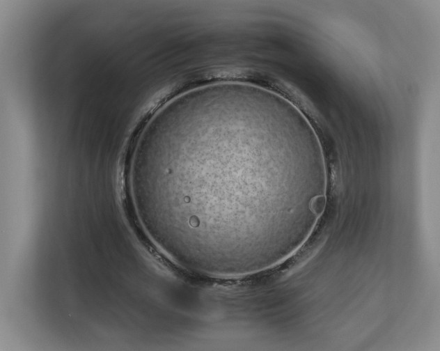 X0000110770725200906151325