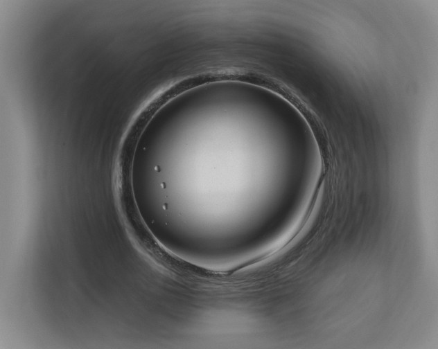 X0000110770726200906151325