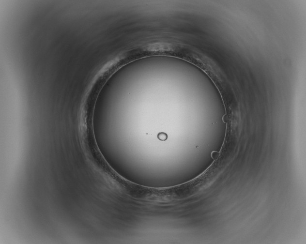 X0000110770727200906151325