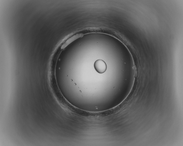 X0000110770728200906151325