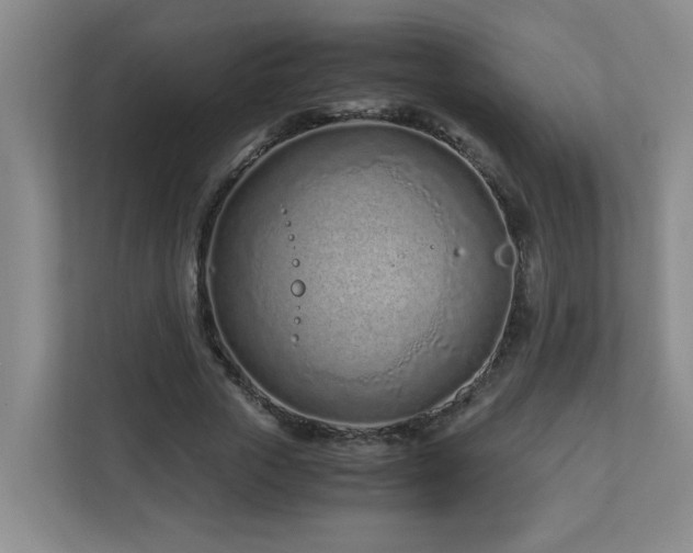 X0000110770729200906151325