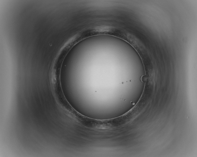 X0000110770731200906151325