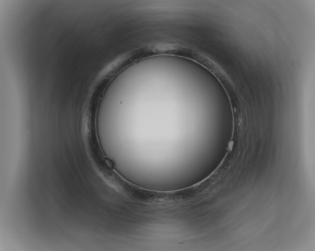 X0000110770732200906151325