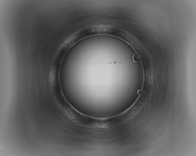 X0000110770735200906151325