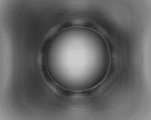 X0000110770738200906151325