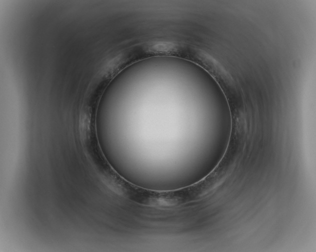 X0000110770739200906151325