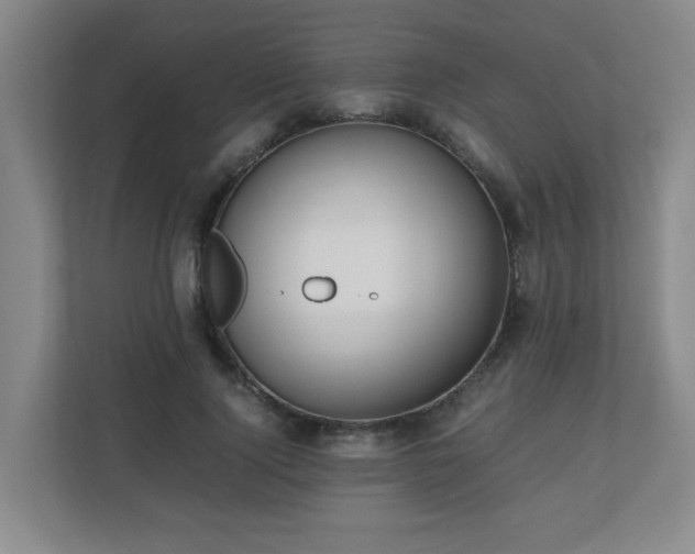 X0000110770740200906151325