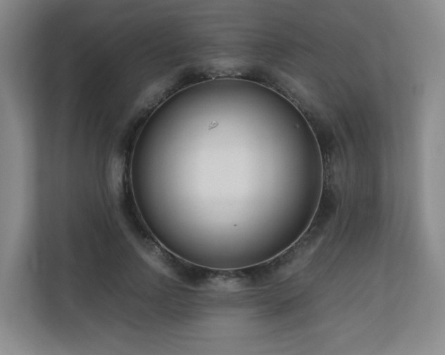 X0000110770742200906151325