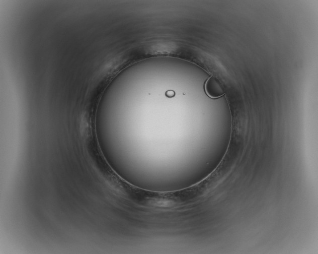 X0000110770743200906151325