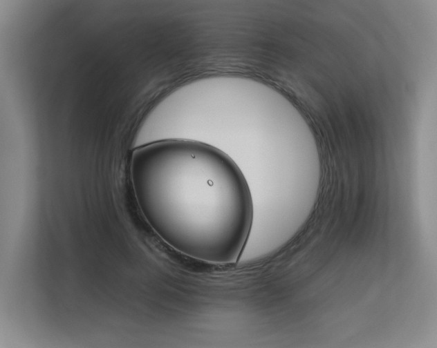 X0000110770744200906151325