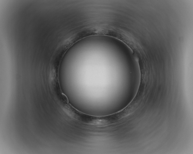 X0000110770748200906151325