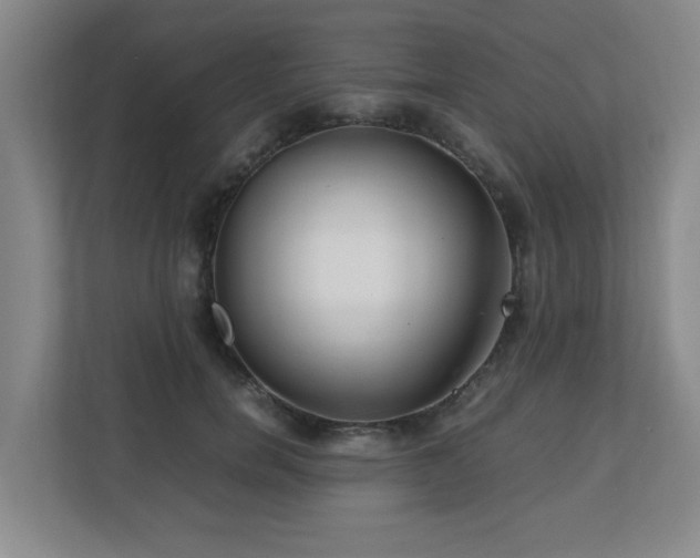 X0000110770750200906151325