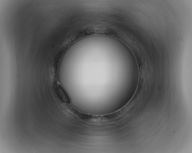 X0000110770752200906151325