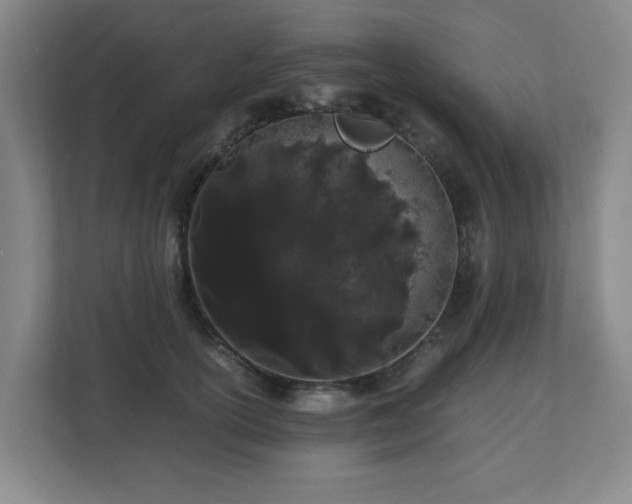 X0000110770754200906151325