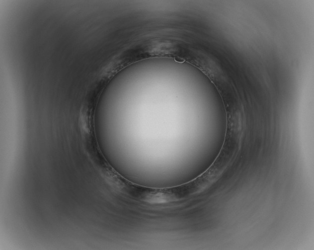 X0000110770755200906151325