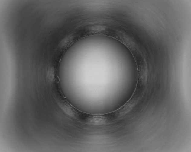 X0000110770758200906151325