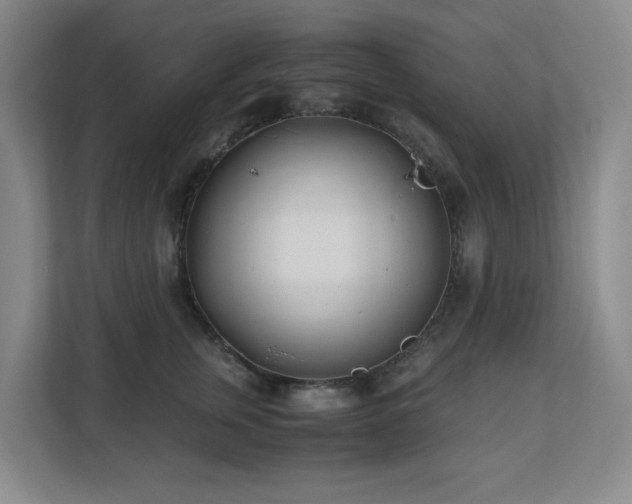 X0000110770759200906151325