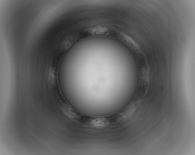 X0000110770761200906151325