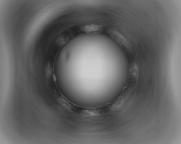 X0000110770763200906151325