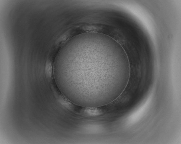 X0000110770767200906151326