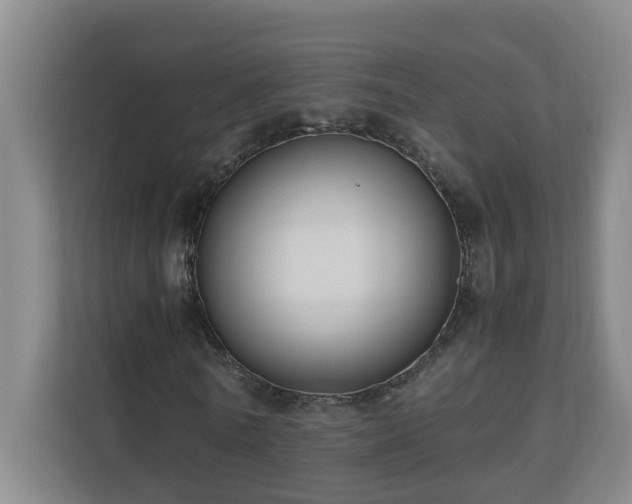 X0000110770770200906151325