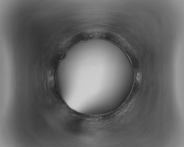 X0000110770771200906151325