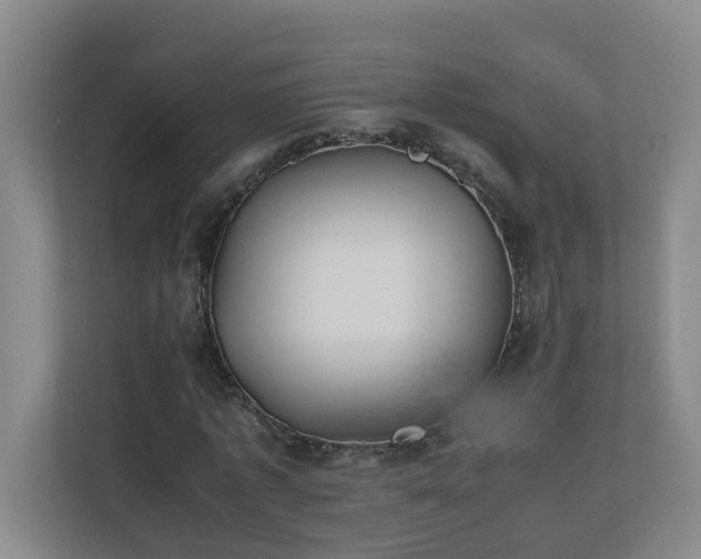 X0000110770773200906151325