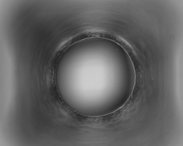 X0000110770775200906151325