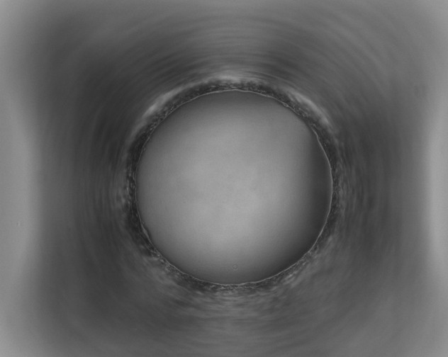 X0000110770776200906151325