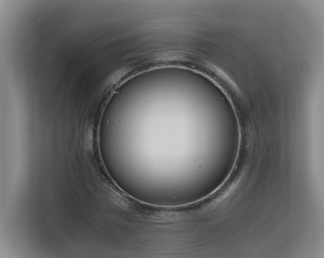 X0000110770777200906151325