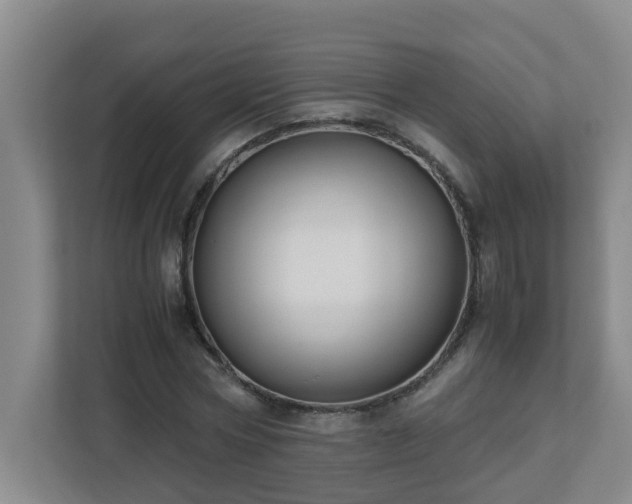 X0000110770778200906151325