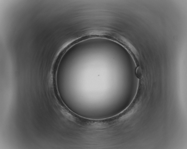 X0000110770779200906151325