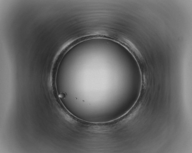 X0000110770780200906151325