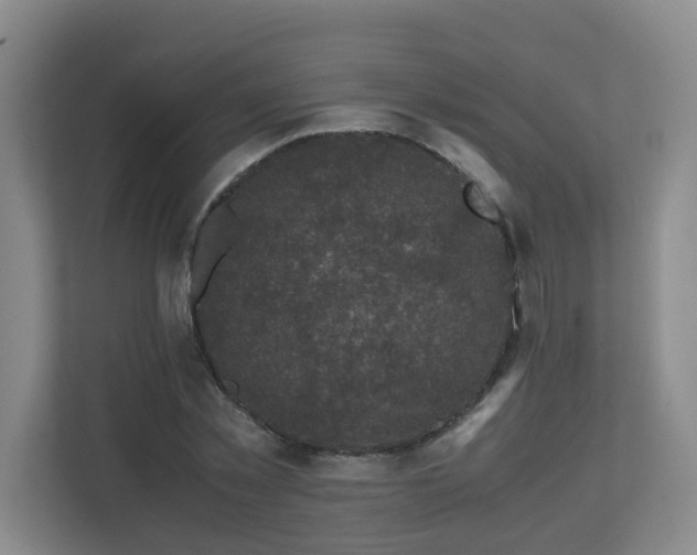 X0000110770781200906151325