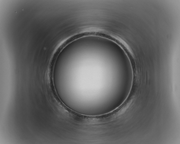 X0000110770783200906151325