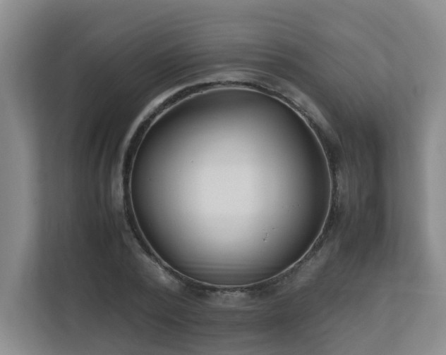 X0000110770784200906151325