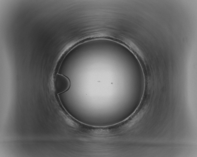 X0000110770789200906151325