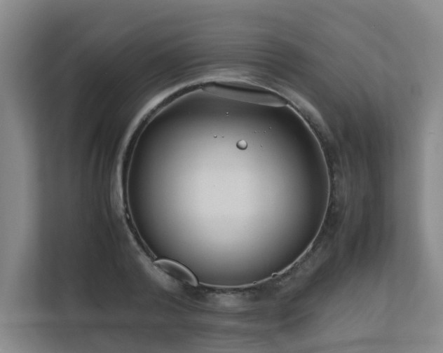 X0000110770792200906151325