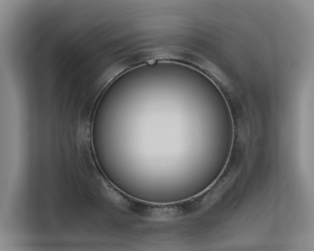 X0000110770793200906151325