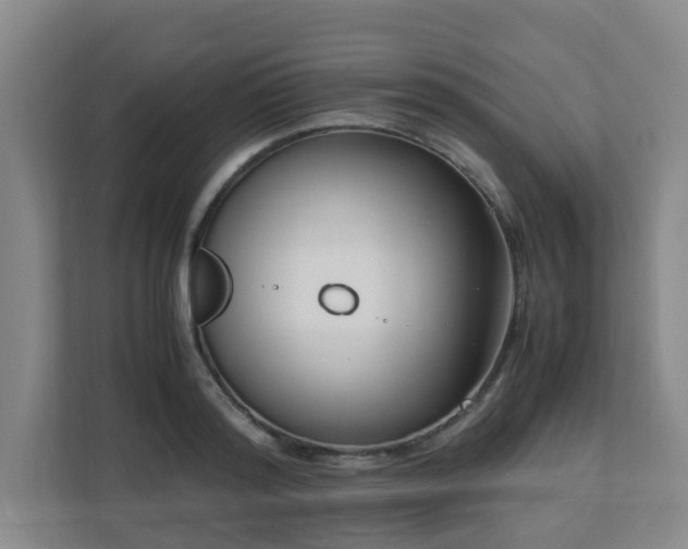 X0000110770796200906151325