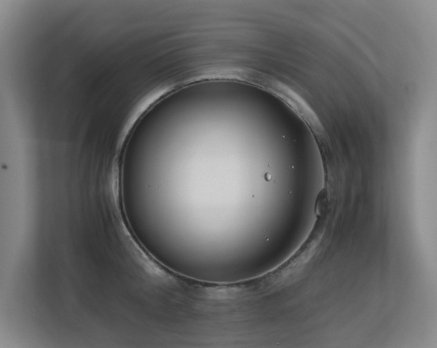 X0000110770804200906151324