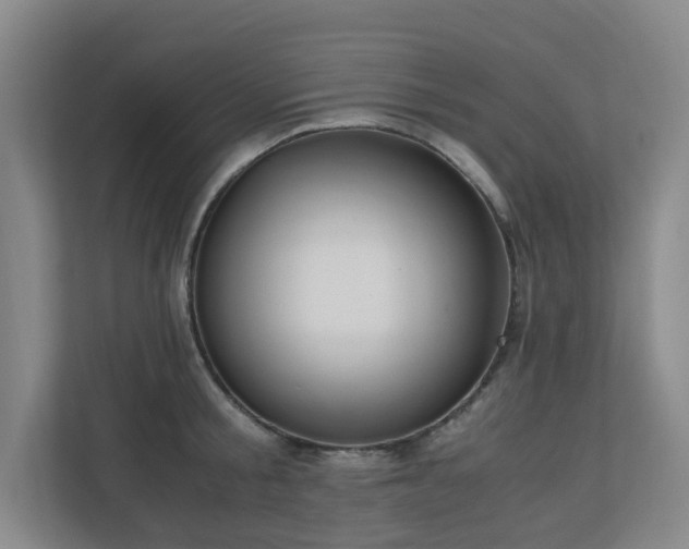 X0000110770805200906151324