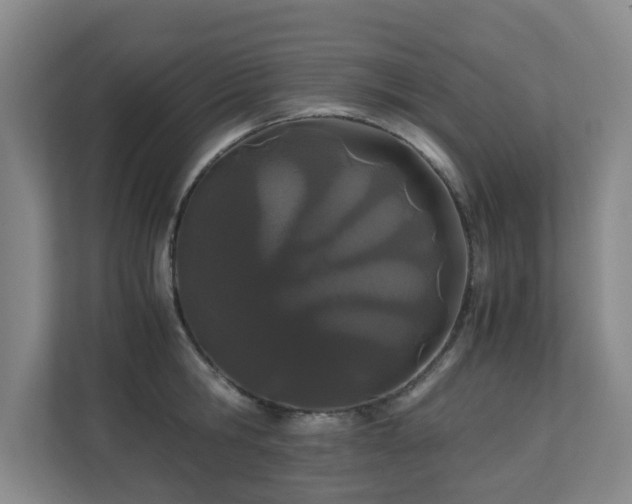 X0000110770806200906151324