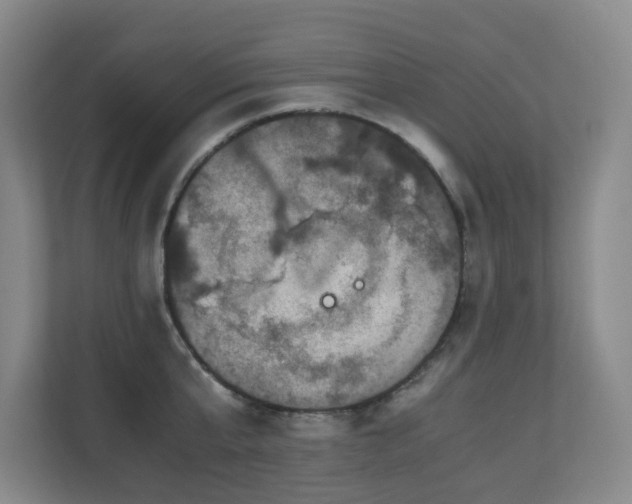 X0000110770807200906151324