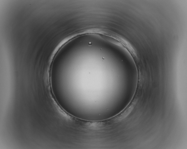 X0000110770808200906151324